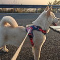 Load image into Gallery viewer, dog harness close up breathable material adjustable straps reflective design