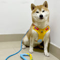 Load image into Gallery viewer, dog wearing yellow harness and leash set reflective adjustable pet harness