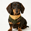 Load image into Gallery viewer, Dachshund wearing a green bandana with a name tag on a white background