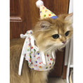 Load image into Gallery viewer, pet birthday party outfit for photoshoot cute cat dog celebration