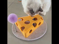 Load and play video in Gallery viewer, Cheese Scoop Cat Box