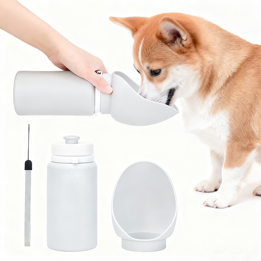 Portable Foldable Pet Water Bottle – Leak-Proof Travel Dispenser for Dogs & Cats | GraviPaw