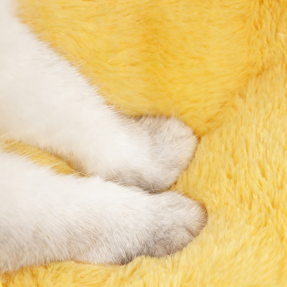 Pumpkin Cozy Cat Cave Bed – Soft Plush Hideaway for Cats