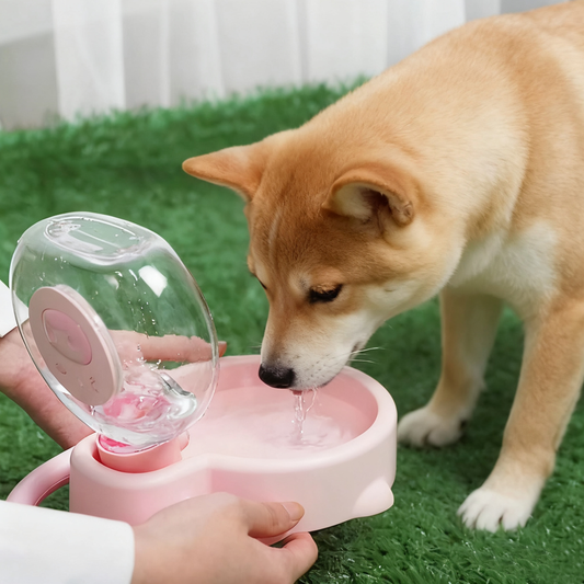 Bean-Shaped Pig Travel Pet Bottle – Cute Portable Water Dispenser for Cats & Dogs | GraviPaw