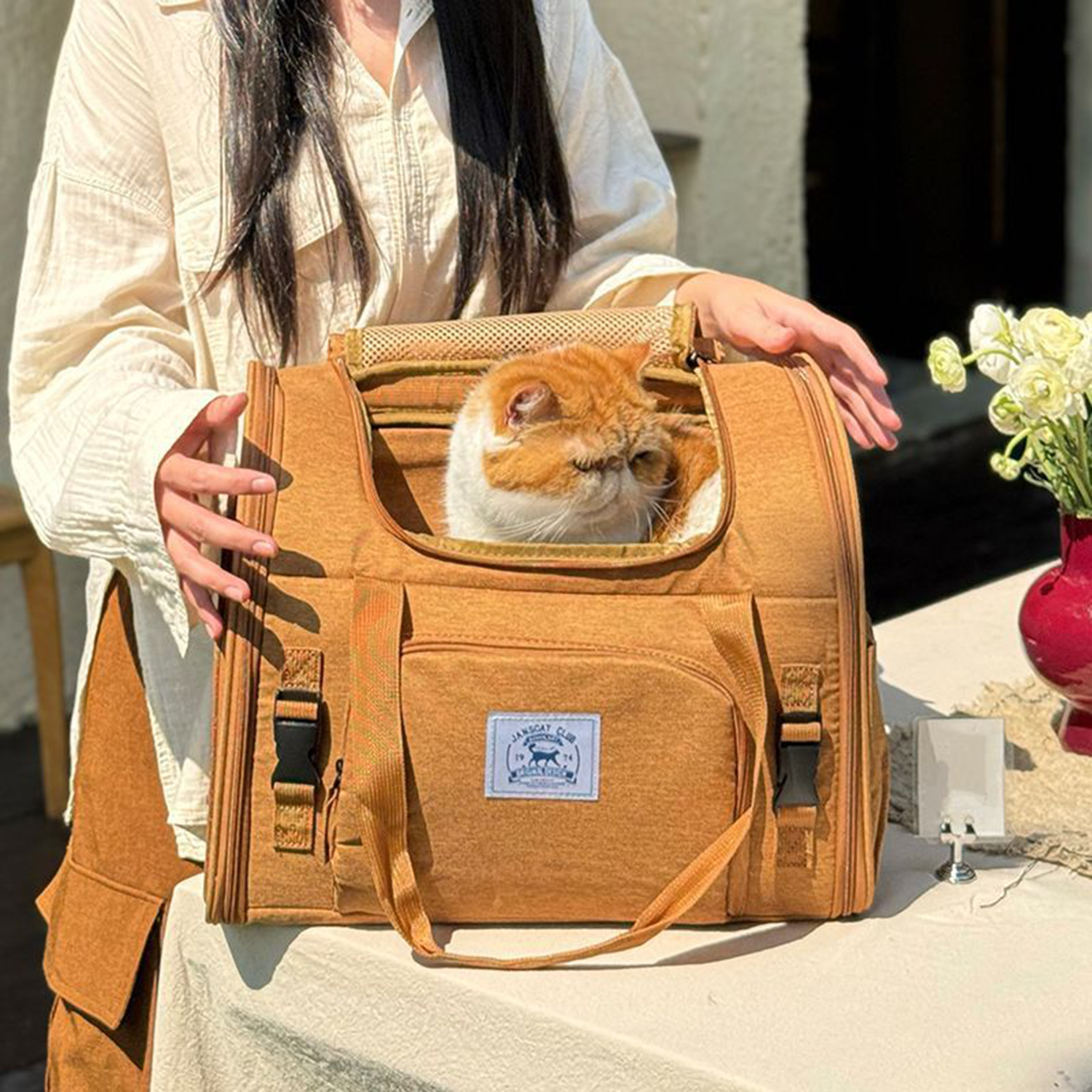 Expandable Large-Space Travel Pet Carrier Bag – Single Shoulder or Handbag for Cats & Small Dogs