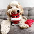 Load image into Gallery viewer, Christmas Santa Plush Dog Toy – Durable Squeaky & Crinkle Toy with Rope | Eco-Friendly Holiday Gift
