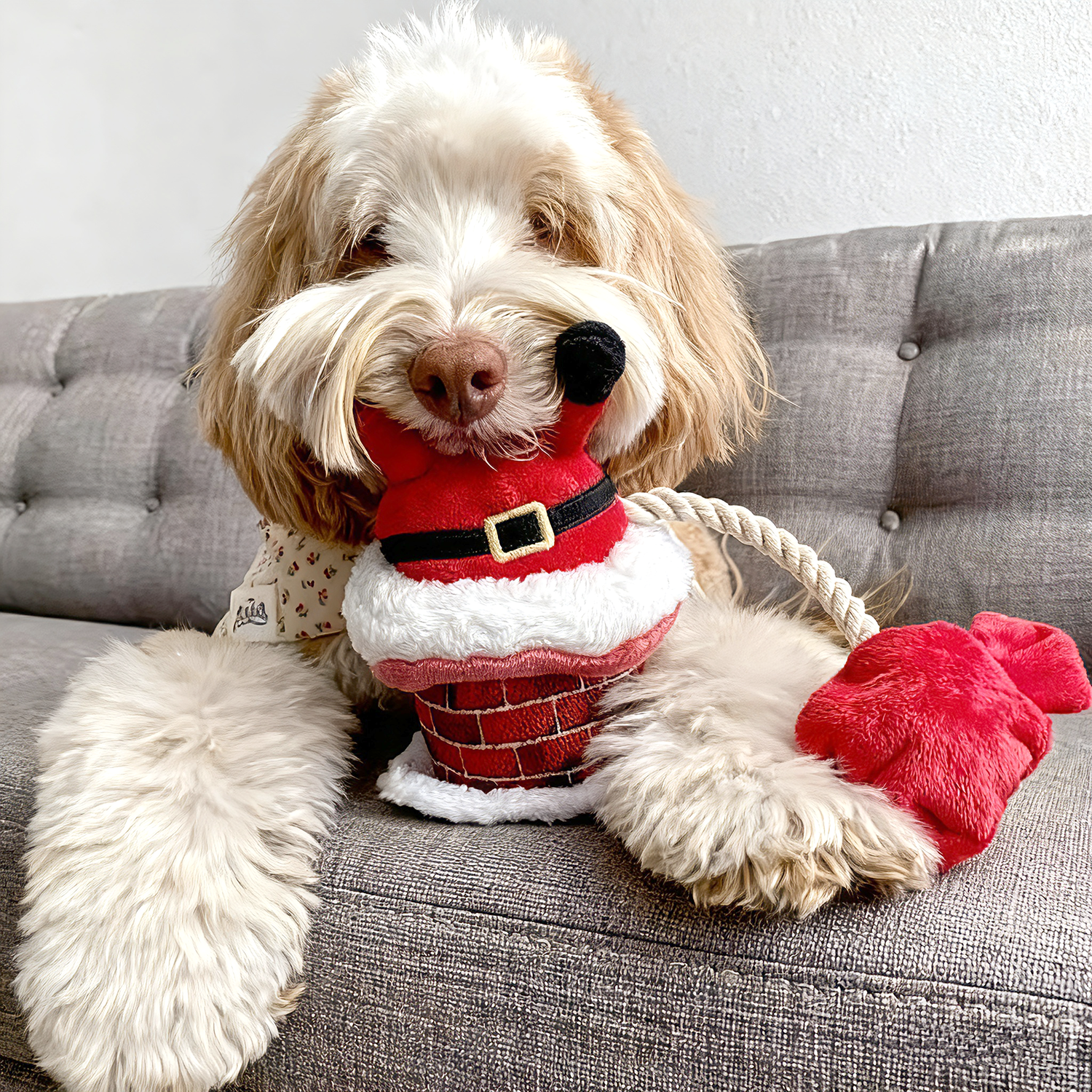 Christmas Santa Plush Dog Toy – Durable Squeaky & Crinkle Toy with Rope | Eco-Friendly Holiday Gift