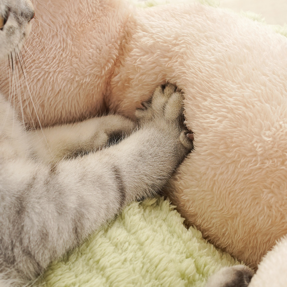 Cactus Blossom Plush Cat Bed – Cozy Wrap-Around Sofa Bed with Removable Cushion for Cats