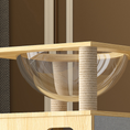 Load image into Gallery viewer, All-in-One Cat Climbing Frame with Enclosed Condo & Clear Space Capsule
