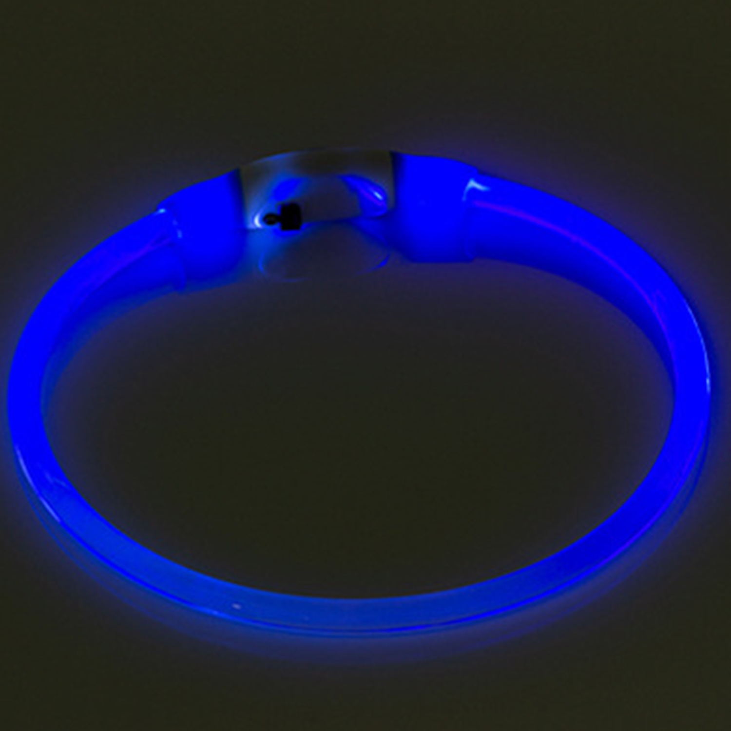 USB Rechargeable LED Pet Collar – Multi-Color Light-Up Dog Safety Collar | GraviPaw