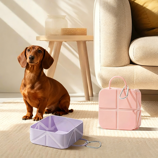 Foldable Travel Pet Bowl