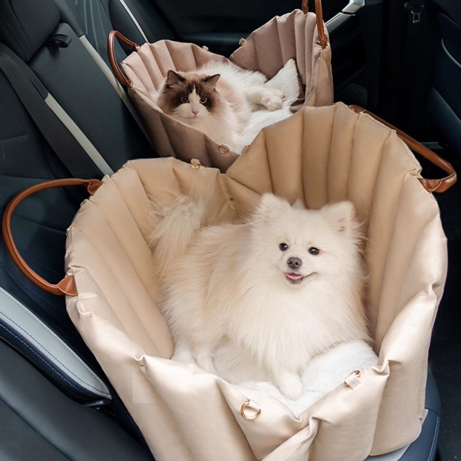 2-in-1 Foldable Pet Bed Carrier – Oxford Fabric Travel Nest for Cats & Small Dogs