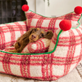Load image into Gallery viewer, Christmas Plaid Plush Pet Sofa Bed – Thickened Warm Dog & Cat Couch with Raised Backrest
