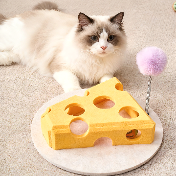 Cheese Scoop Cat Box