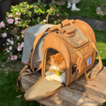 Load image into Gallery viewer, Expandable Large-Space Travel Pet Carrier Bag – Single Shoulder or Handbag for Cats & Small Dogs
