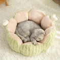 Load image into Gallery viewer, Cactus Blossom Plush Cat Bed – Cozy Wrap-Around Sofa Bed with Removable Cushion for Cats
