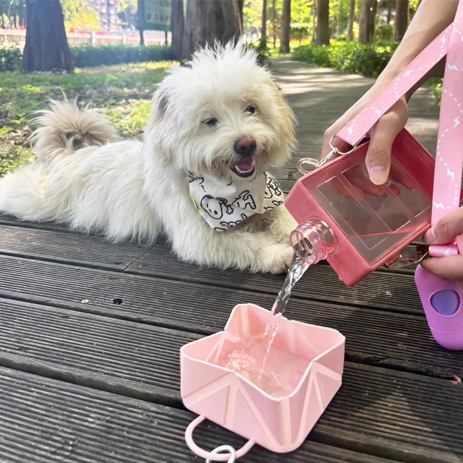 Foldable Travel Pet Bowl