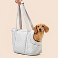 Load image into Gallery viewer, Quilted Soft Pet Carrier Tote – Lightweight Travel Bag for Cats & Small Dogs
