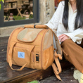 Load image into Gallery viewer, Expandable Large-Space Travel Pet Carrier Bag – Single Shoulder or Handbag for Cats & Small Dogs
