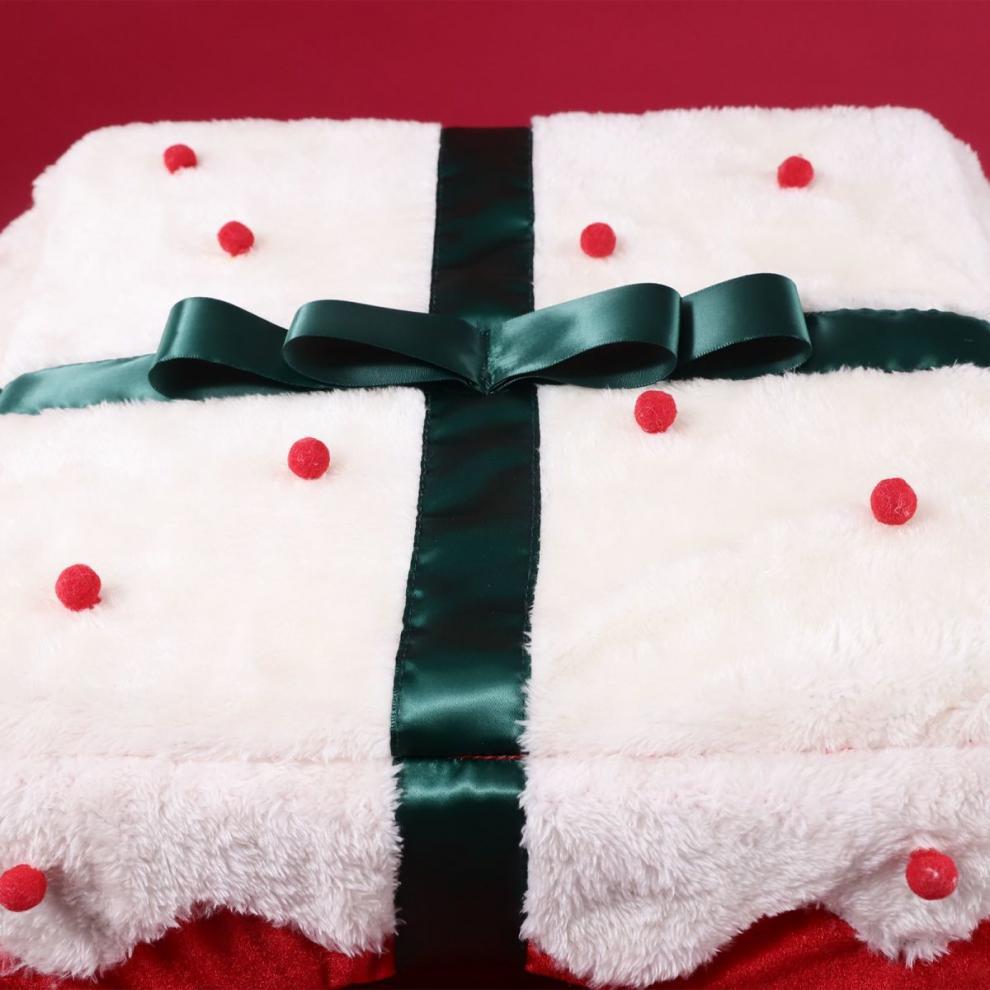 Christmas Gift Box Pet House