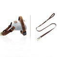 Load image into Gallery viewer, Grey anti pull dog harness with matching brown leash set on white background
