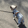 Load image into Gallery viewer, Small dog walking outdoors on leash with adjustable anti pull vest harness
