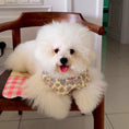 Load image into Gallery viewer, White Bichon Frise wearing soft floral pattern pet collar with scalloped edge
