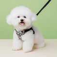 Load image into Gallery viewer, White Bichon Frise wearing daisy print dog harness with black leash
