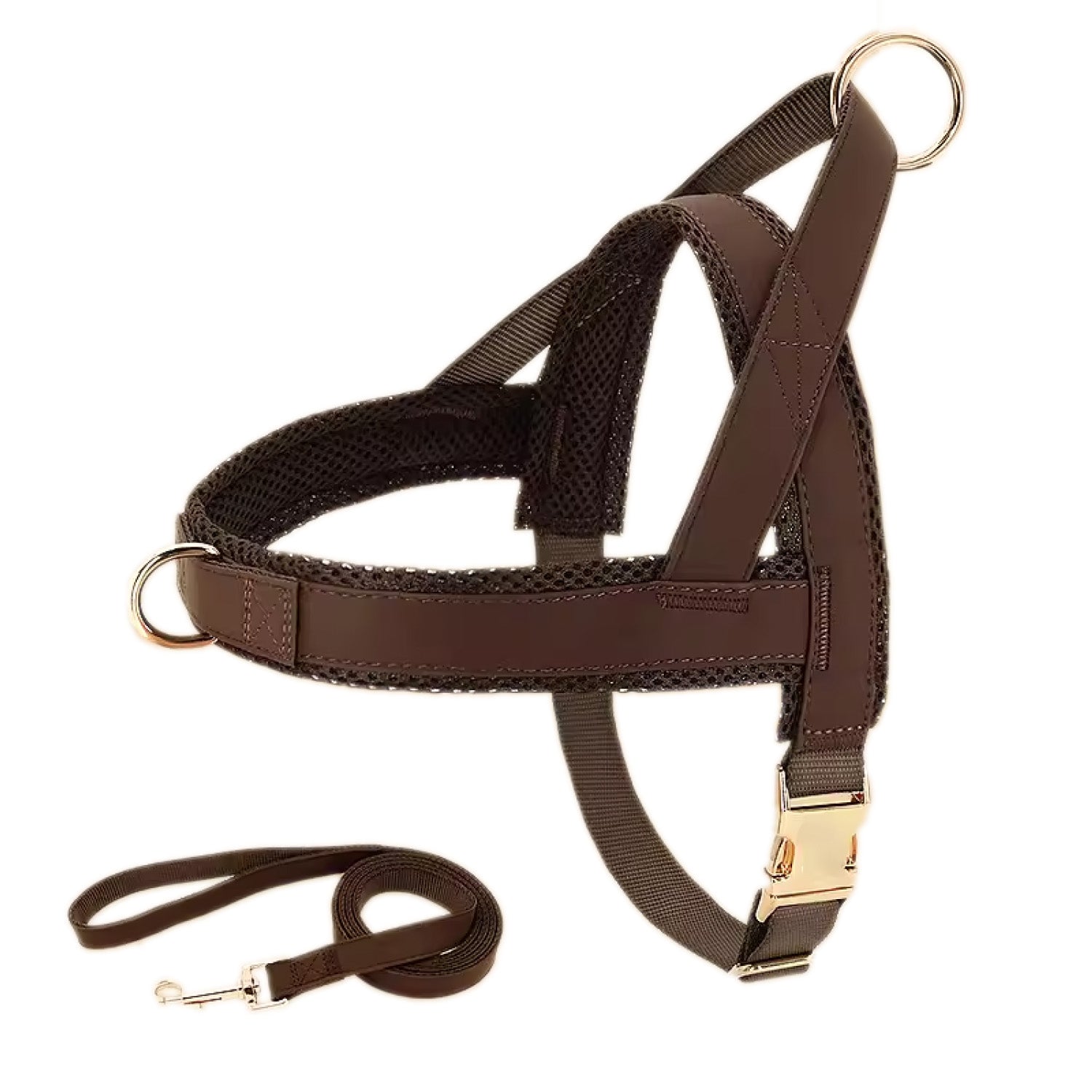 Brown leather dog harness and leash set flat lay showing full adjustable design and gold hardware