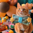 Load image into Gallery viewer, Orange tabby cat wearing green plush bow bandana with yellow star detail at birthday party with colorful decorations

