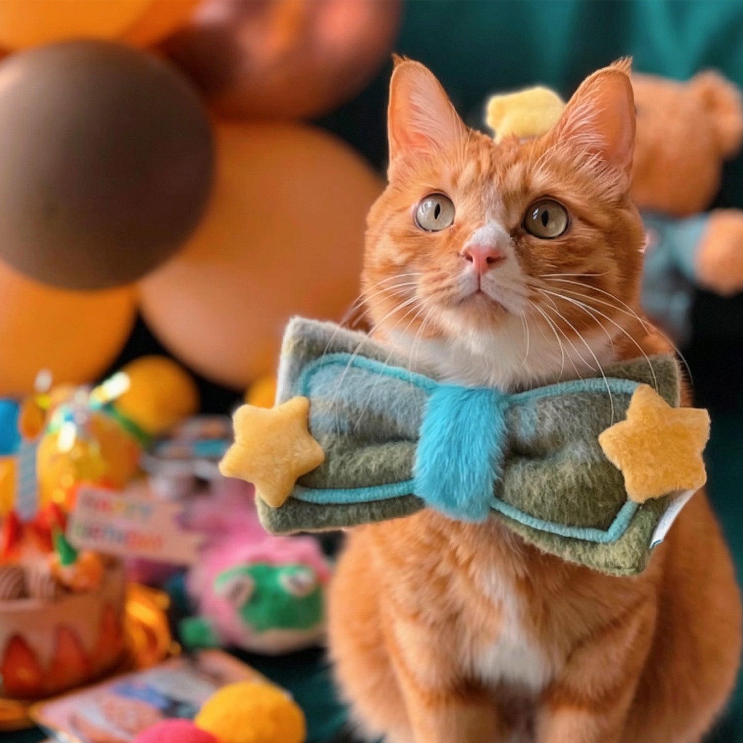 Orange tabby cat wearing green plush bow bandana with yellow star detail at birthday party with colorful decorations