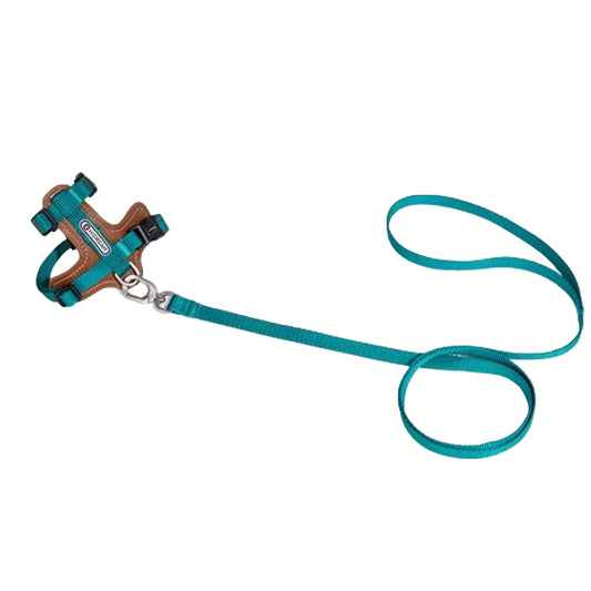 Teal cat harness and leash set on white background for indoor cats
