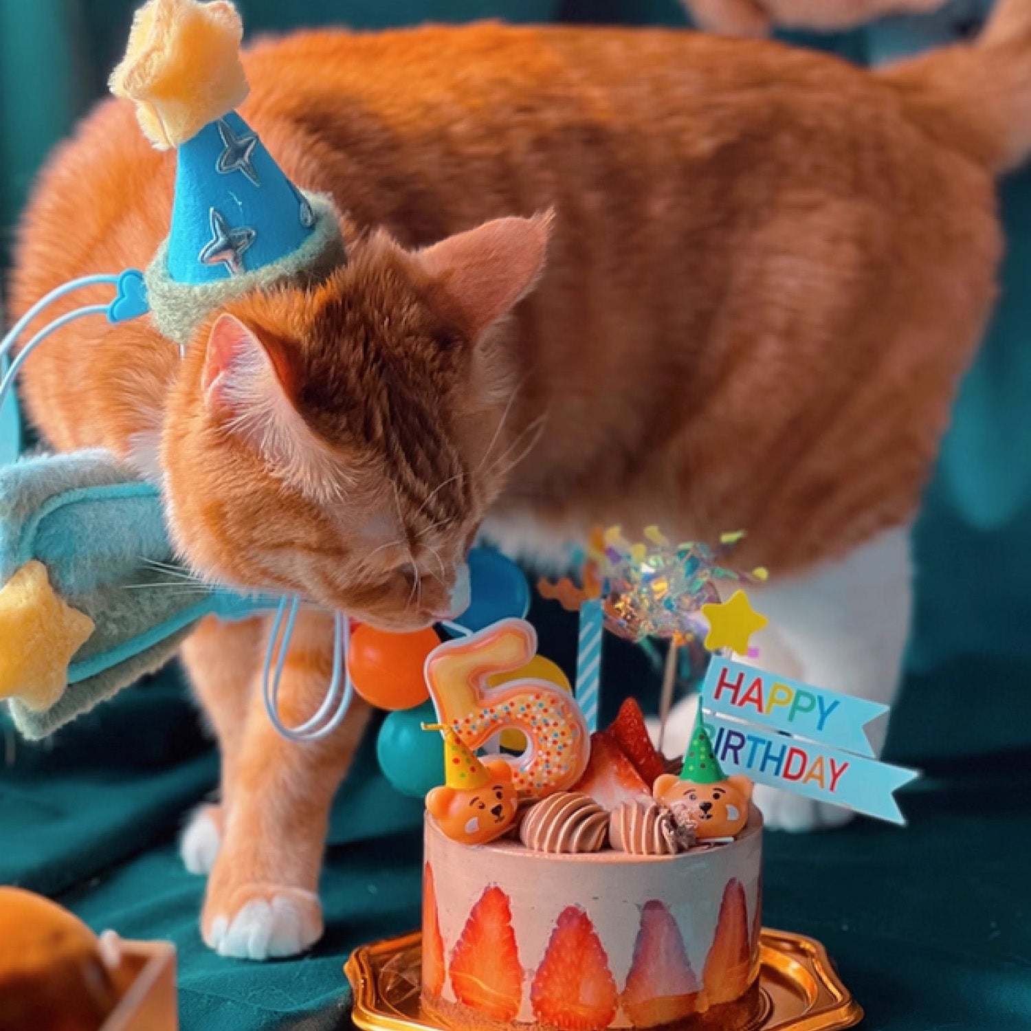Orange tabby cat wearing blue birthday party hat with star next to happy birthday cake and decorations