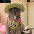 Load image into Gallery viewer, Grey cat wearing green corduroy vest harness with matching wide brim sun hat outdoors
