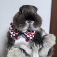 Load image into Gallery viewer, Grey Scottish Fold cat wearing red white diamond bow tie pet collar
