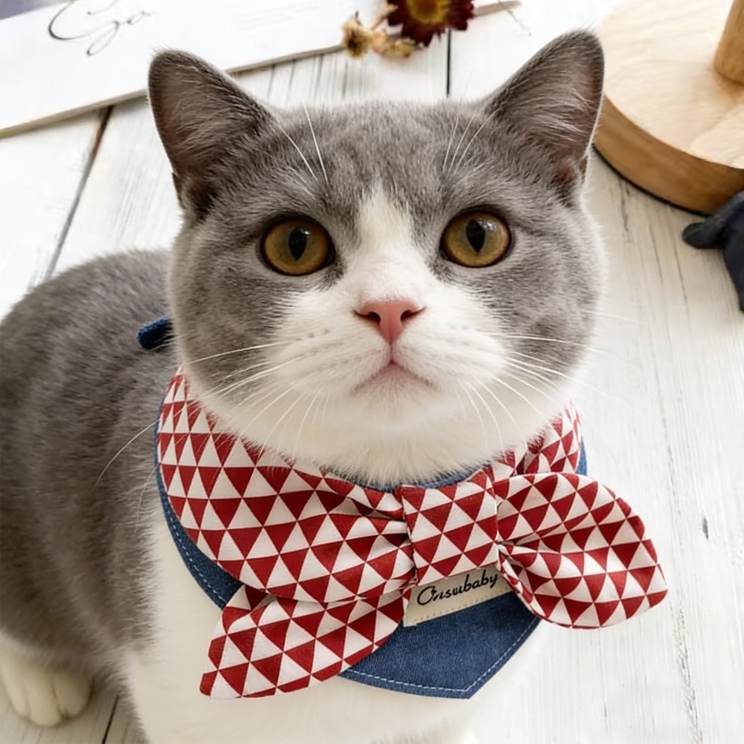 British Shorthair cat wearing red white triangle geometric bow bandana collar