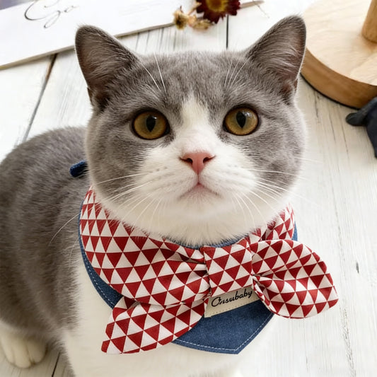 British Shorthair cat wearing red white triangle geometric bow bandana collar