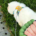 Load image into Gallery viewer, White puppy on grass with hand holding green beaded foam handle leash

