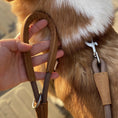 Load image into Gallery viewer, Hand holding leather-handled leash attached to corgi in brown harness
