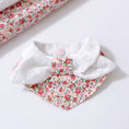 Load image into Gallery viewer, Delicate flower pattern pet collar with white lace bow detail
