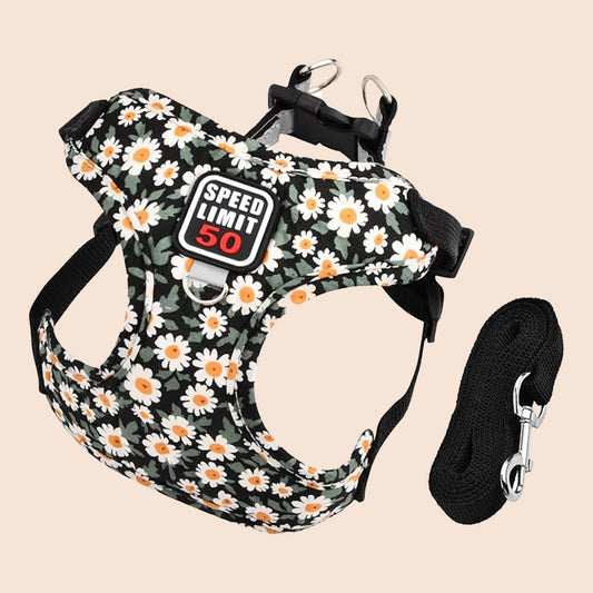 Daisy bloom print step-in dog harness and leash set with reflective design for small dogs