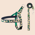 Load image into Gallery viewer, Daisy print quick-wear dog harness and leash set with green floral embroidered straps
