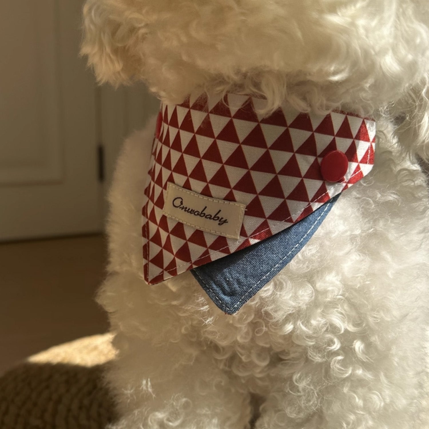 White curly dog wearing red white diamond pattern triangle pet bandana