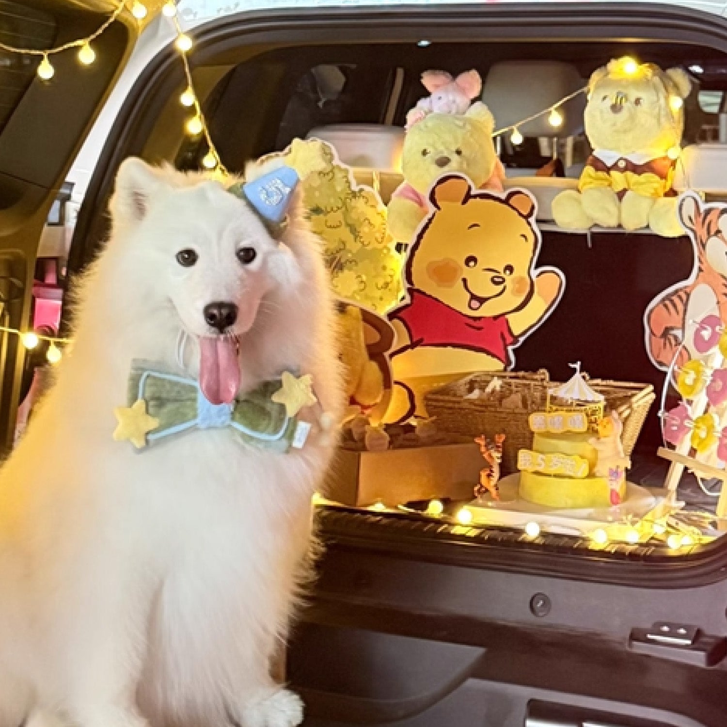 White samoyed dog wearing birthday hat at decorated party setup with Winnie the Pooh themed birthday decorations and lights