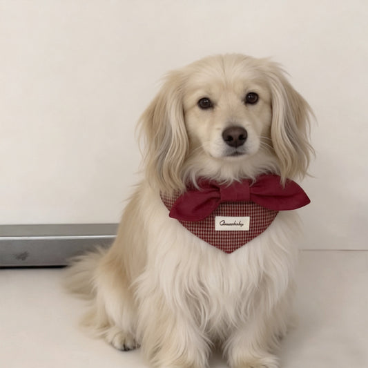 Cream long-haired dog wearing red bow houndstooth bandana collar