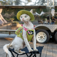 Load image into Gallery viewer, White cat wearing green escape proof harness vest with wide brim hat at outdoor market
