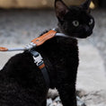 Load image into Gallery viewer, Black cat wearing adjustable escape proof harness with rope leash walking outdoors against wall
