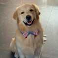 Load image into Gallery viewer, Golden Retriever wearing red white diamond pattern bow tie pet collar
