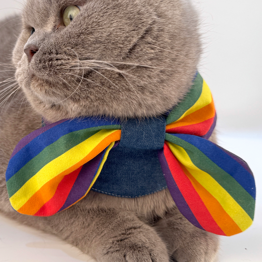 Grey cat wearing handmade rainbow bow bandana collar, side angle view, GraviPaw pride pet accessory