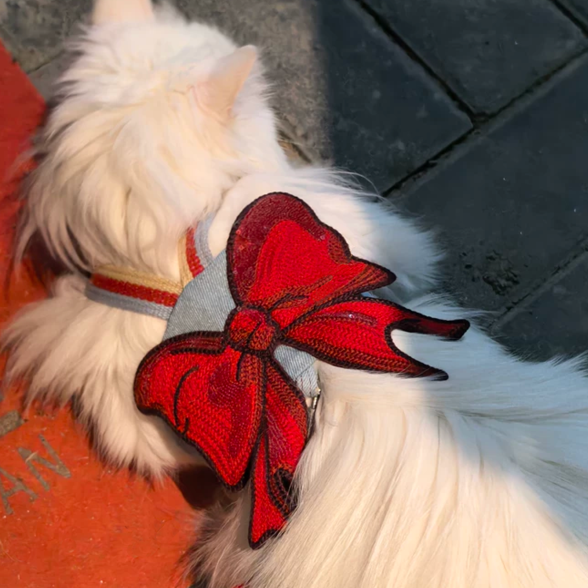 Close-up of oversized sparkling red bow detail on GraviPaw denim cat harness worn by a white cat